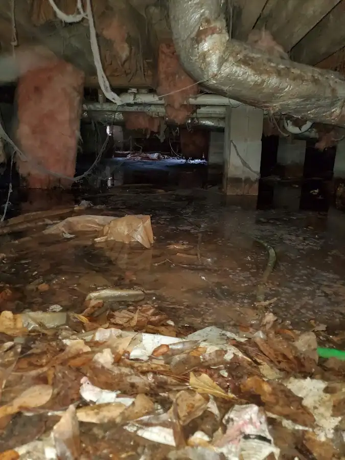 Crawl space flood assessment for Leak Detection & Repair in Laie