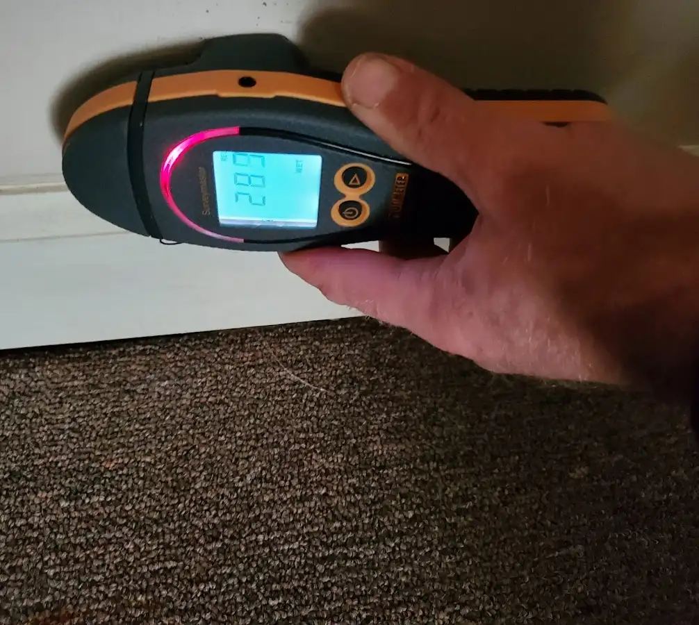 Moisture detection at baseboard during Sewage Cleanup & Sanitation in Laie